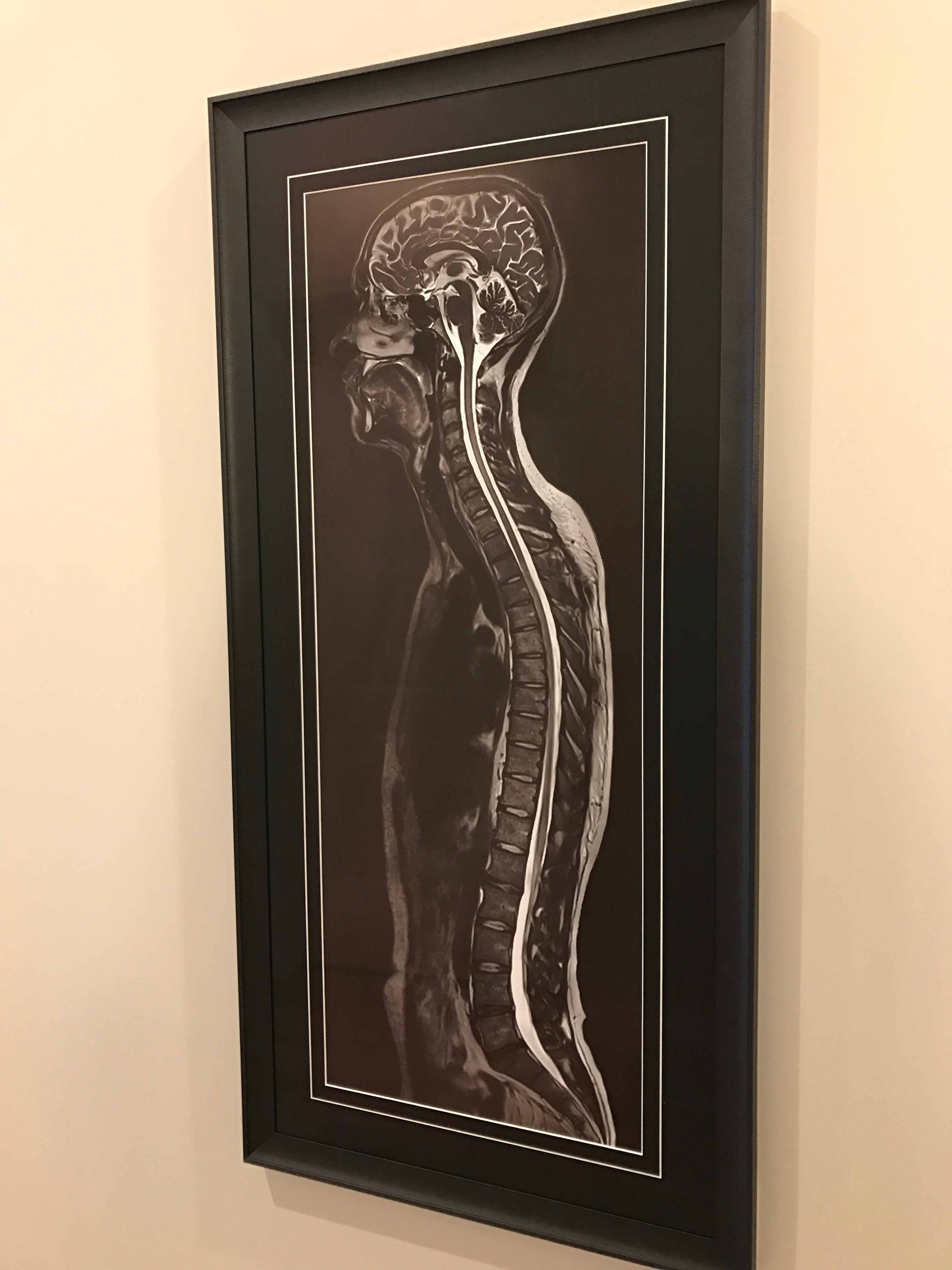 Optimum Chiropractic Wellness Massage Lake Orion MI